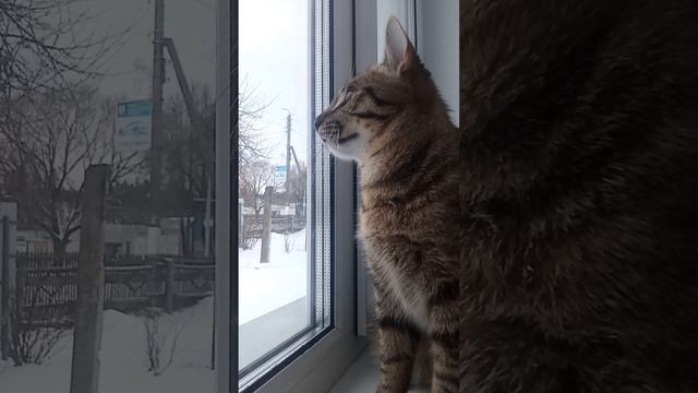 8 февраля 2023 г. смотреть онлайн