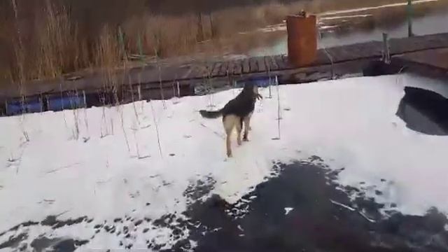 Первый выход на лед. смотреть онлайн