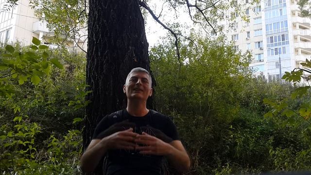Смысл жизни смотреть онлайн