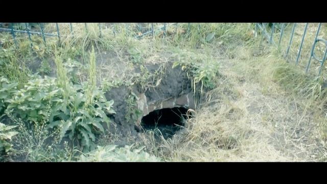 #ПоездкаВыходногоДня: Имения Чичериных и Воейковых смотреть онлайн