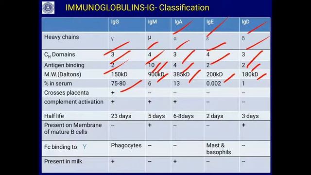 Immunoglobulins, Antigen-Antibody reaction смотреть онлайн