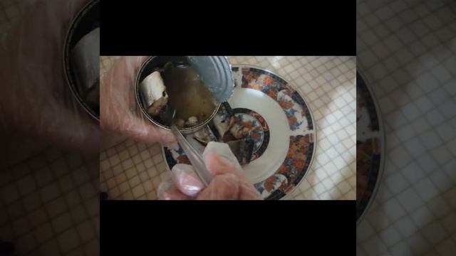 Салат рыбный смотреть онлайн