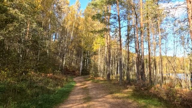 Дочь санитарки ночью пробралась в палату парализованного богача и угостила конфетой А на утро.... смотреть онлайн