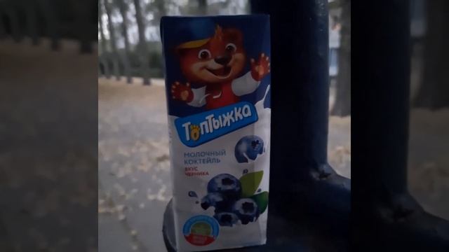 ПОСЛЕДНИЙ.. ТОПТЫЖКА! смотреть онлайн