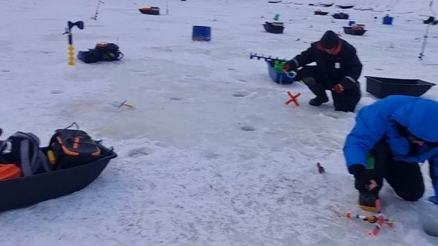 06-01-2025 смотреть онлайн