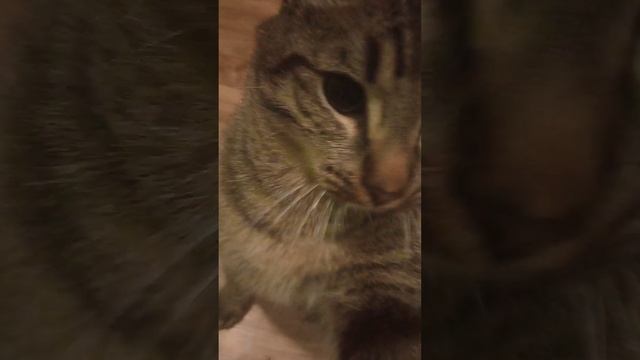 снимай смотреть онлайн