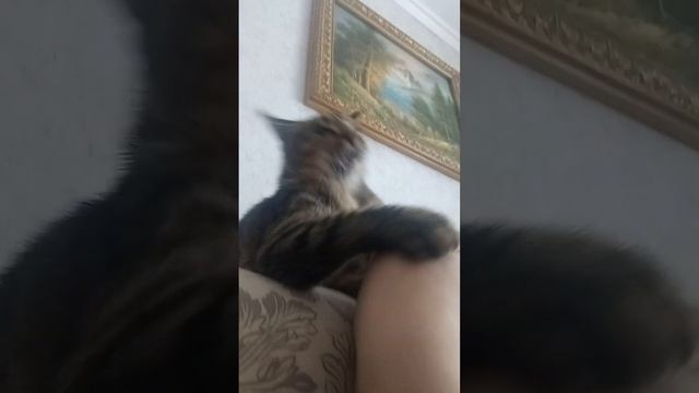 12 февраля 2023 г. смотреть онлайн