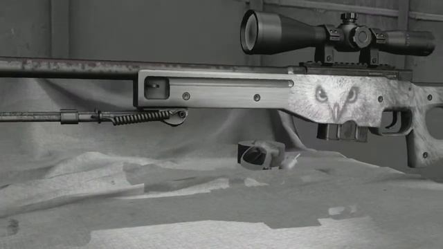 Presentation of "Owl Cry" AWP for CS:GO | Презентация новой АВП "Совиный Крик"для CS:GO смотреть онлайн