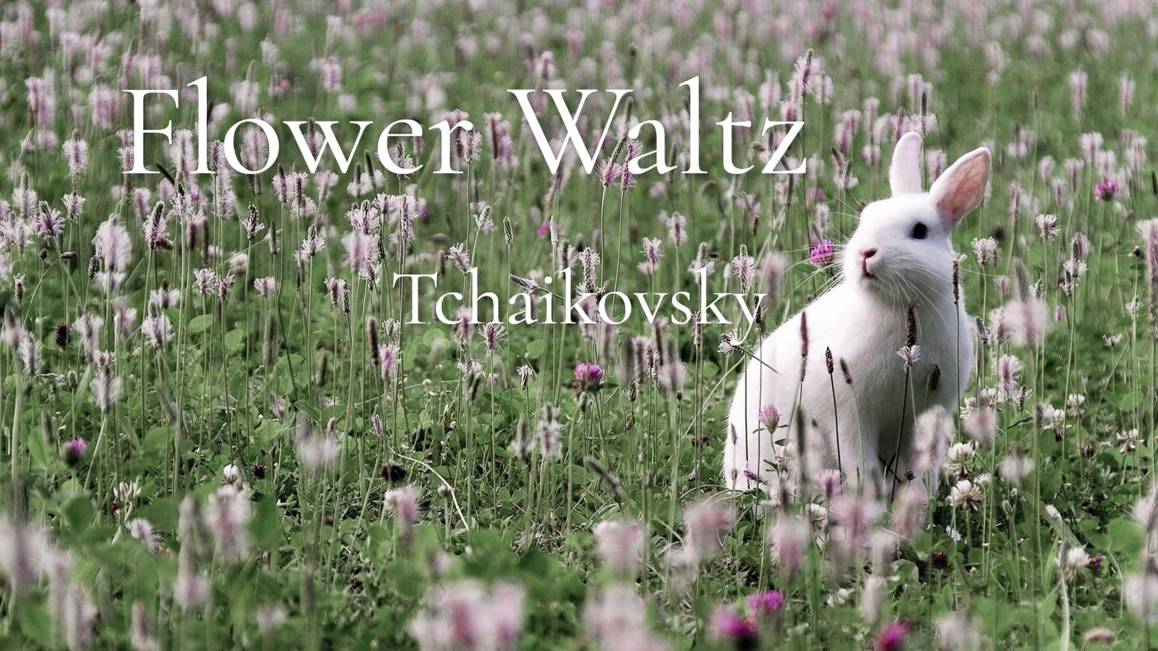 Tchaikovsky - Flower Waltz
