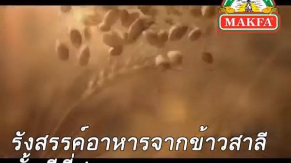 MAKFA พาสต้าระดับโลก