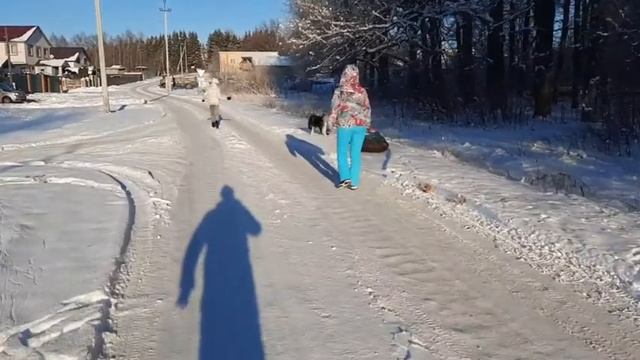 Маламут катает детей смотреть онлайн
