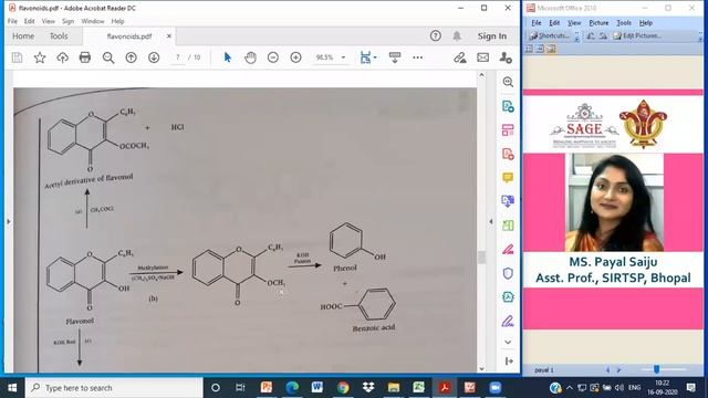 Isoflavonoids By Prof. Payal Saiju SIRTS P смотреть онлайн