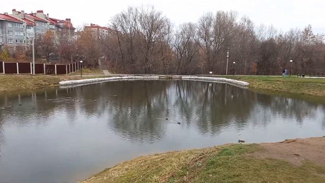 Лукерьинский пруд.Кстово. ноября 2021 г.---- смотреть онлайн