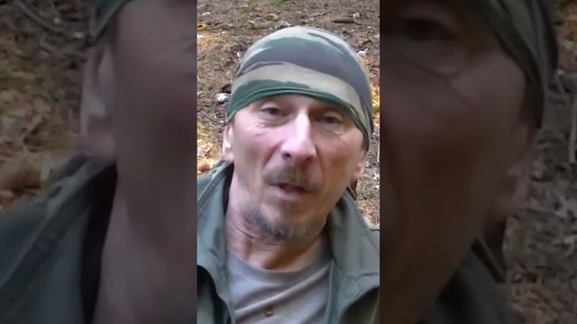 Интересная история про мухоморный суп смотреть онлайн