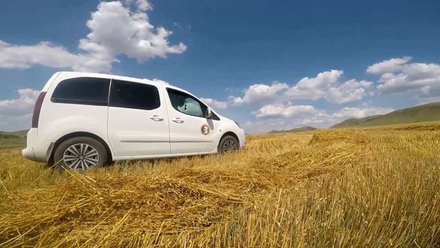 Ильсия Бадретдинова - Ике урман арасы смотреть онлайн