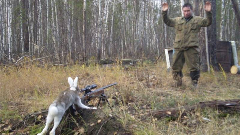 Подранка не оставляют. смотреть онлайн