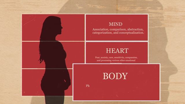Humans As Three-Brained Beings