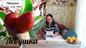 Обзор сортов томатов из моей коллекции, который я буду повторять в 2025 . Планы на весну.