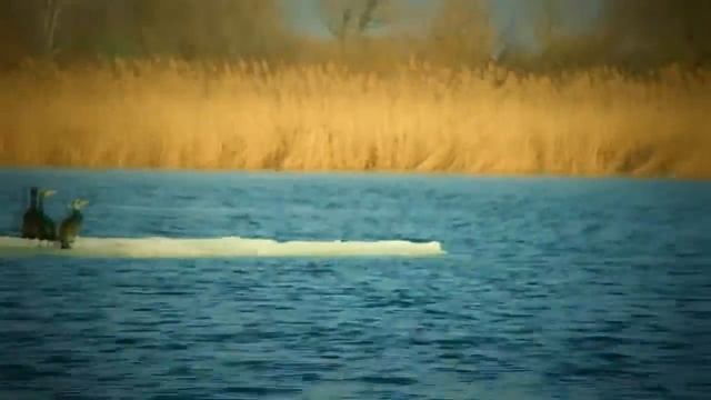 Нормально Нереально смотреть онлайн