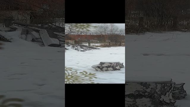 Зима 2025 год ❄️❄️❄️❄️ смотреть онлайн