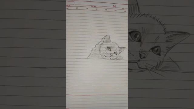 Учусь рисовать. Кошечка.
