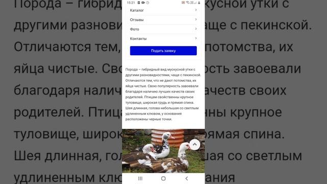 Про Породы Уток 6 Пород Часть 1 смотреть онлайн