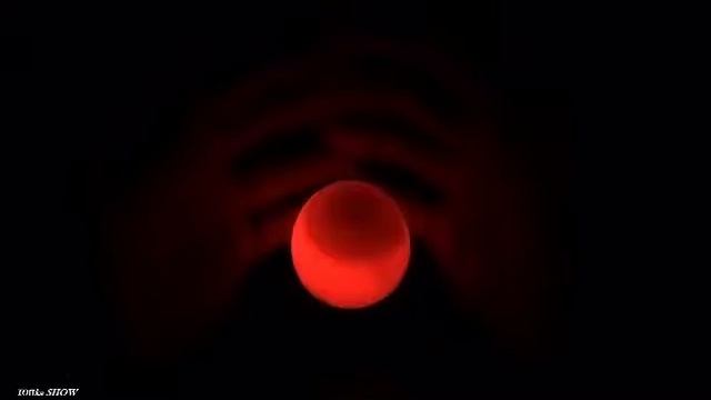 что если 2017 Эксперименты с яйцом смотреть онлайн
