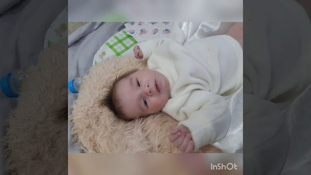 история моего любимого кота💕😍 смотреть онлайн