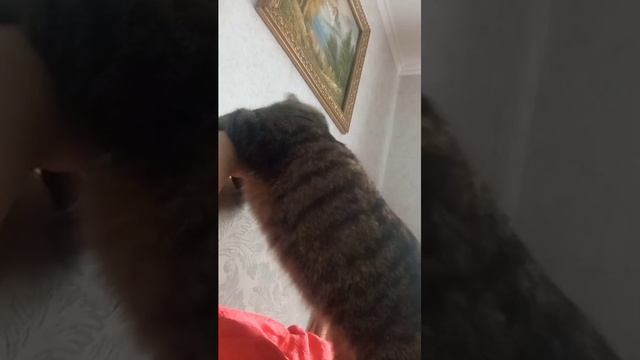 моясоска смотреть онлайн