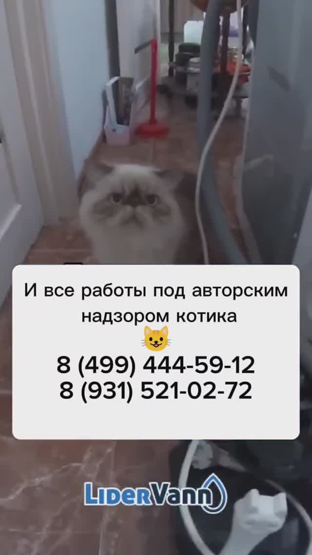 Ремонт ванной под надзором котика смотреть онлайн