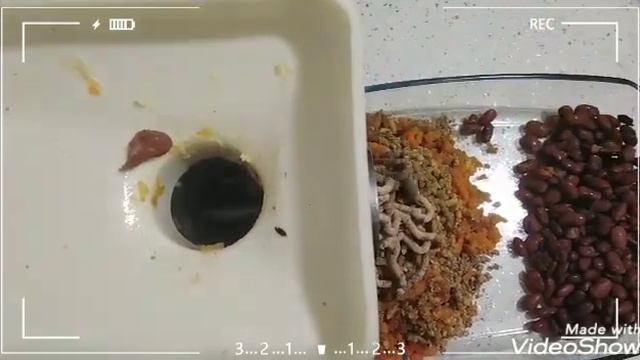 Паштет из смеси печени и фасоли 👌👌👌 Qaraciyər və paxla qarışımından paştet 🍽 смотреть онлайн