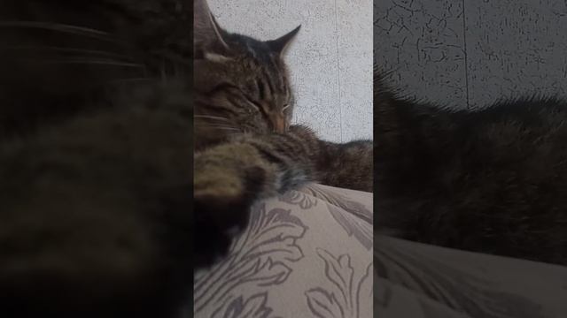 неееет смотреть онлайн