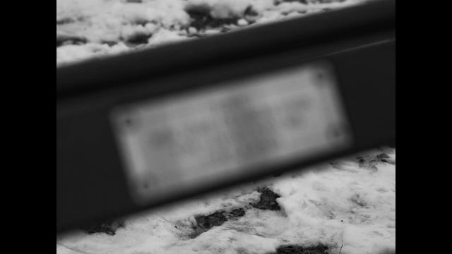 Hot Dog in the Park | New York Short Film (2024) смотреть онлайн