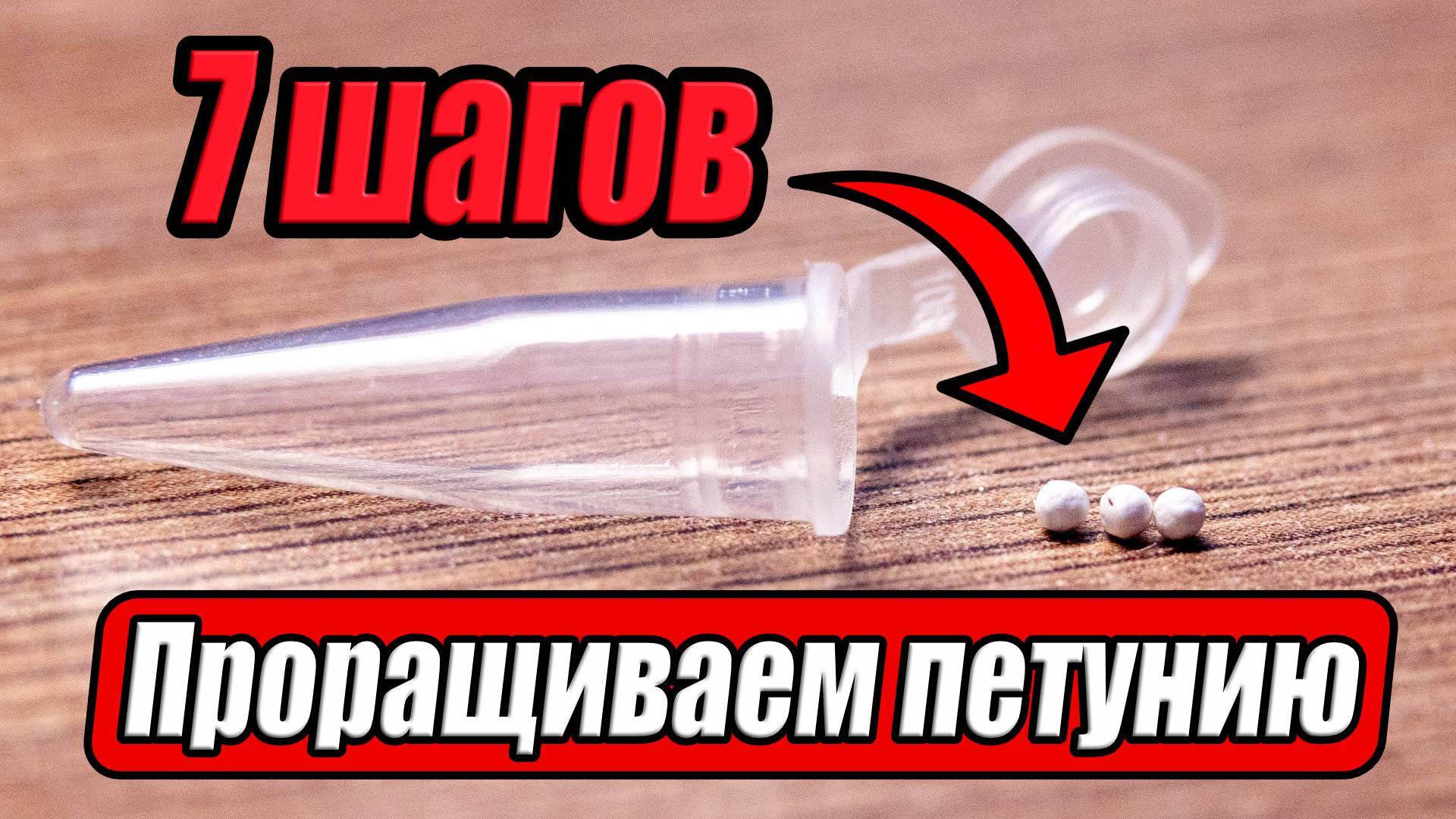 7 шагов как прорастить ампельную петунию за 60 секунд смотреть онлайн