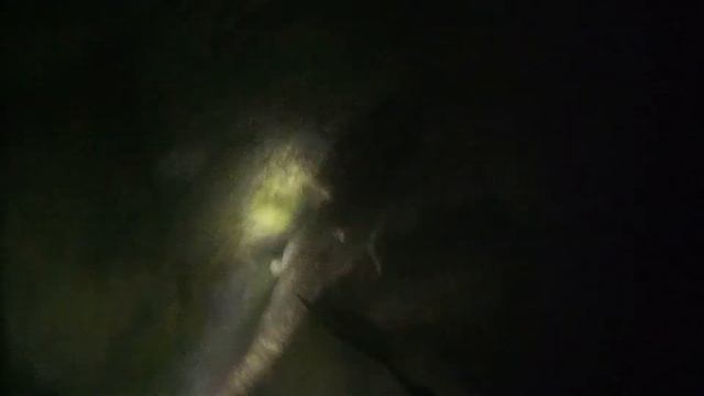 イワトコナマズ смотреть онлайн