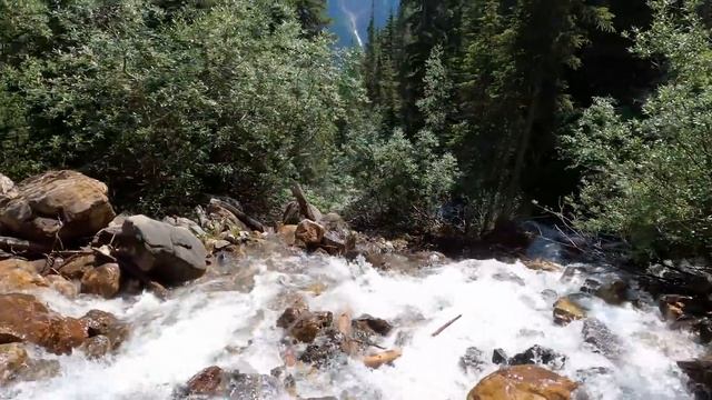 FINDING A MOUNTAIN OASIS! Jeep Wrangler JL Ecodiesel & Gladiator Stunning Off Road Adventure смотреть онлайн