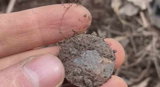 Нашел СЕРЕБРЯНЫЙ ПОЛТИННИК!Семейный коп! смотреть онлайн