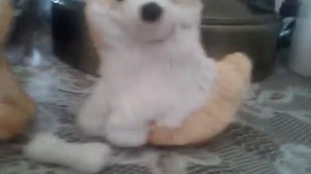 Моя мама слепила из мастики собачек🐶🐩 смотреть онлайн