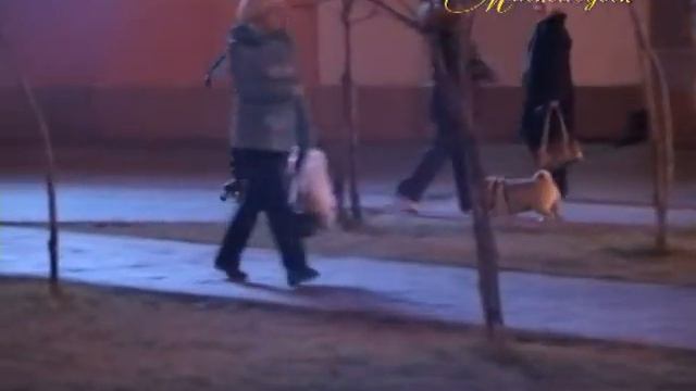 "МИМОХОДОМ", 6 - 7 октября 2010 год. Автор проекта О. Дзиов смотреть онлайн