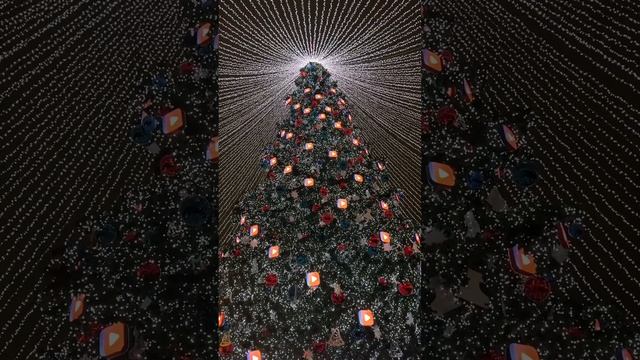 Красивая елка 🎄парк Горького смотреть онлайн