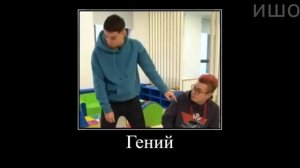 Муд Влад А4 демотиватор (24 Часа в Детском Саду) (360p)