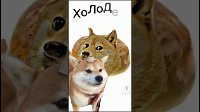 Лук 🧅 картошка 🥔 огурец 🥒 смотреть онлайн