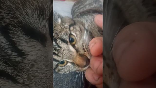 посасываю смотреть онлайн