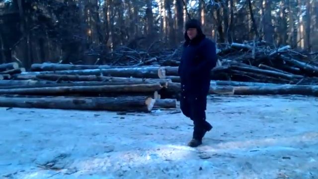 Треугольный лес4 смотреть онлайн