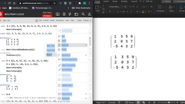 Copying From Wolfram Math Cloud смотреть онлайн