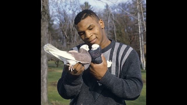 [ПРОДАН] FREE BOOM BAP OLD SCHOOL UNDERGROUND TYPE BEAT (METOX/УННВ/ЦИНК УРОДОВ) смотреть онлайн