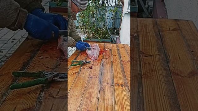 Кухня в стиле уютности