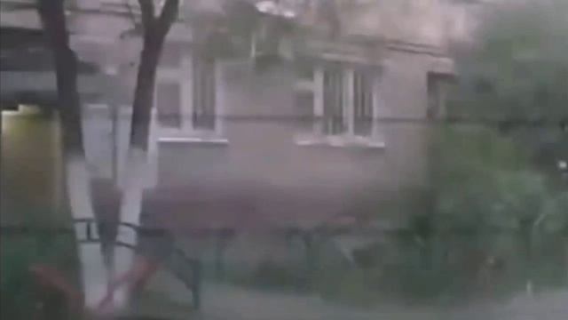 Талик чихает мем смотреть онлайн