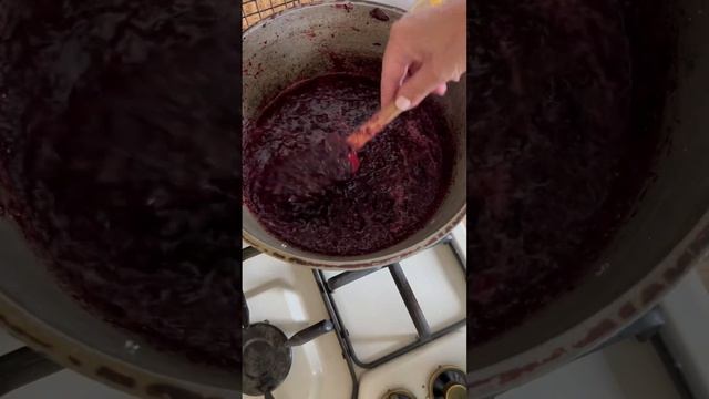 Scrumptious Selections