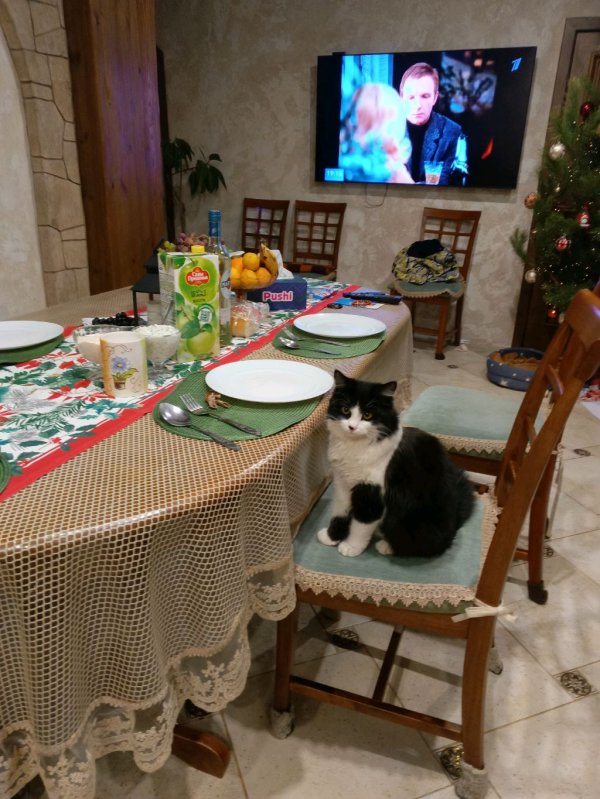 этот стрим про Майн